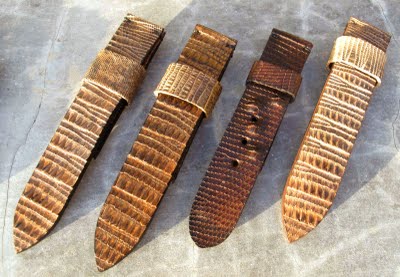 RistiIguanas