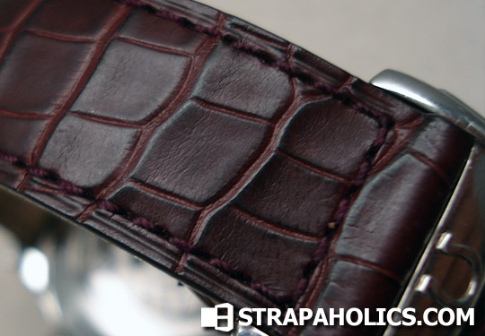 omega-croc02